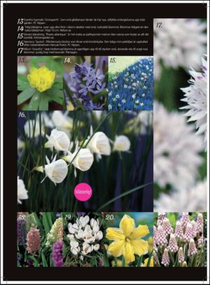 aftonbladet_hh-20110820_000_00_00_062.pdf