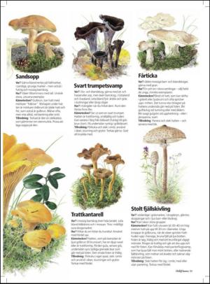 aftonbladet_hh-20110827_000_00_00_055.pdf