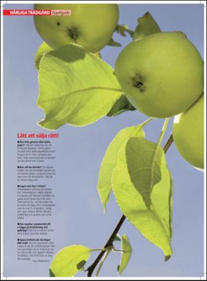aftonbladet_hh-20110903_000_00_00_056.pdf