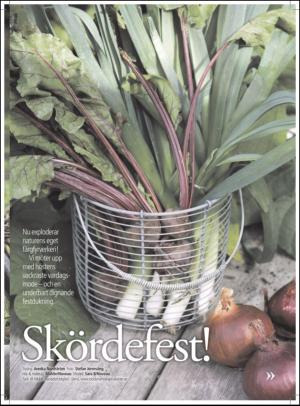 aftonbladet_hh-20110910_000_00_00_013.pdf