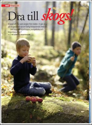 aftonbladet_hh-20110910_000_00_00_048.pdf