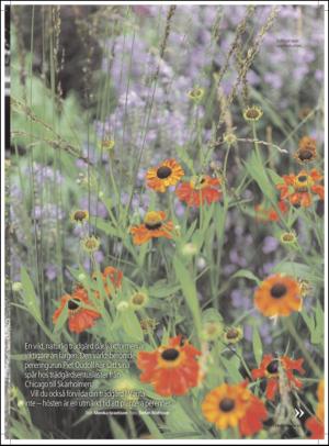 aftonbladet_hh-20111001_000_00_00_061.pdf