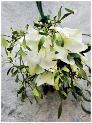 aftonbladet_hh-20111119_000_00_00_018.pdf