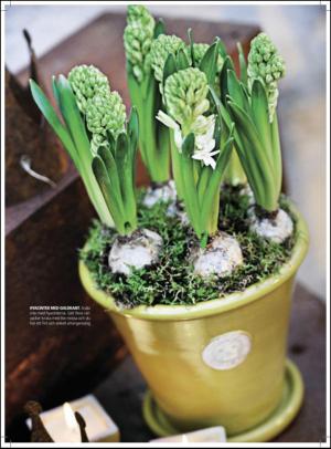 aftonbladet_hh-20111119_000_00_00_020.pdf