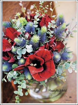 aftonbladet_hh-20111126_000_00_00_015.pdf