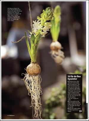 aftonbladet_hh-20111203_000_00_00_016.pdf