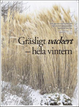 aftonbladet_hh-20120107_000_00_00_059.pdf