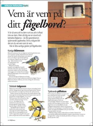 aftonbladet_hh-20120128_000_00_00_044.pdf