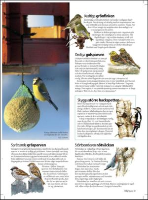 aftonbladet_hh-20120128_000_00_00_045.pdf