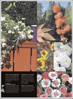 aftonbladet_hh-20120204_000_00_00_057.pdf