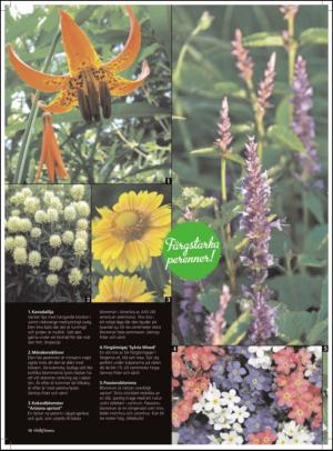 aftonbladet_hh-20120204_000_00_00_058.pdf