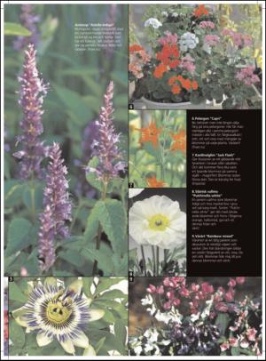 aftonbladet_hh-20120204_000_00_00_059.pdf