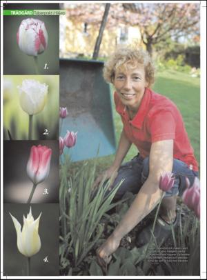 aftonbladet_hh-20120421_000_00_00_058.pdf