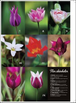 aftonbladet_hh-20120421_000_00_00_060.pdf