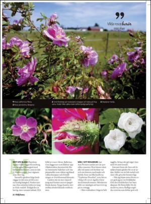 aftonbladet_hh-20120616_000_00_00_028.pdf