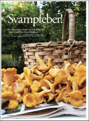 aftonbladet_hh-20120728_000_00_00_084.pdf