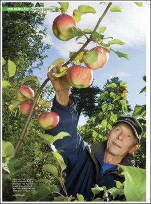 aftonbladet_hh-20121013_000_00_00_060.pdf