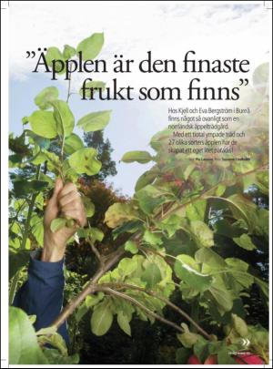 aftonbladet_hh-20121013_000_00_00_061.pdf