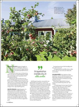 aftonbladet_hh-20121013_000_00_00_062.pdf