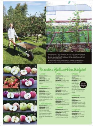 aftonbladet_hh-20121013_000_00_00_063.pdf