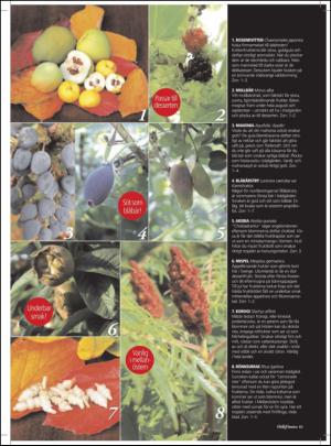 aftonbladet_hh-20121110_000_00_00_061.pdf