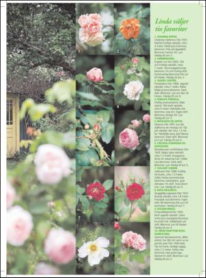 aftonbladet_hh-20121229_000_00_00_061.pdf