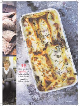 aftonbladet_hh-20130119_000_00_00_057.pdf