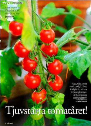 aftonbladet_hh-20130223_000_00_00_058.pdf