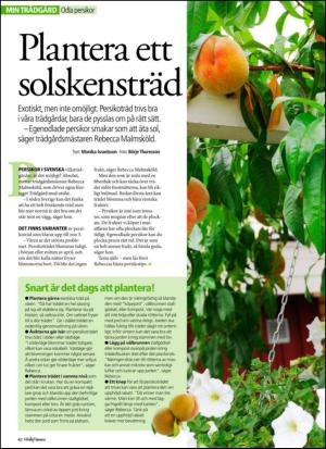 aftonbladet_hh-20130309_000_00_00_062.pdf