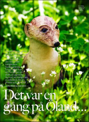 aftonbladet_hh-20130504_000_00_00_038.pdf