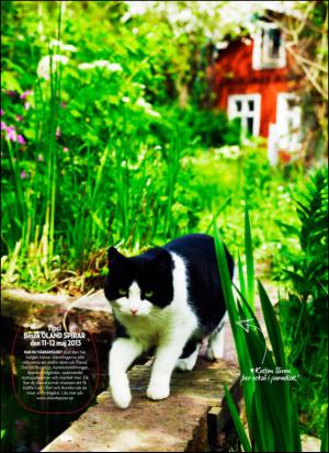 aftonbladet_hh-20130504_000_00_00_040.pdf