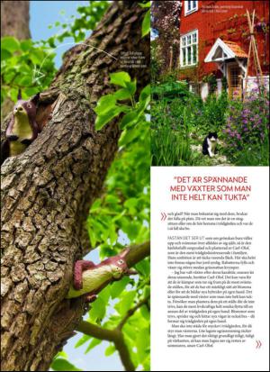 aftonbladet_hh-20130504_000_00_00_042.pdf