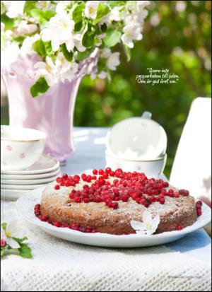 aftonbladet_hh-20130511_000_00_00_090.pdf