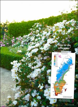 aftonbladet_hh-20130518_000_00_00_037.pdf