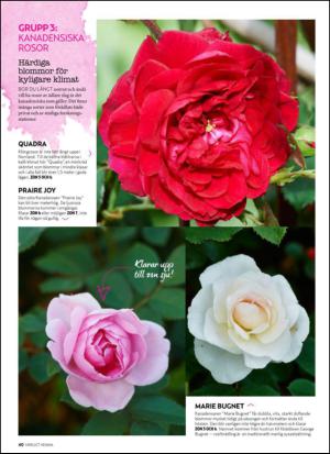 aftonbladet_hh-20130518_000_00_00_040.pdf