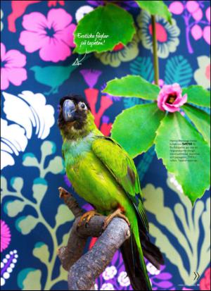 aftonbladet_hh-20130601_000_00_00_015.pdf