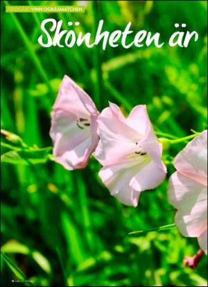 aftonbladet_hh-20130601_000_00_00_018.pdf