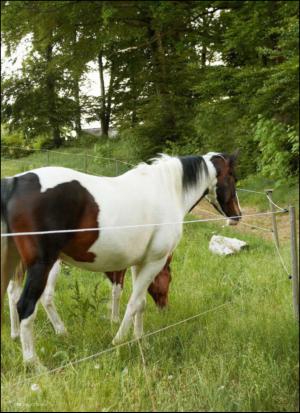 aftonbladet_hh-20130727_000_00_00_038.pdf