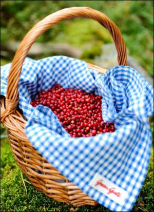 aftonbladet_hh-20130803_000_00_00_058.pdf