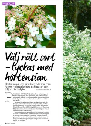 aftonbladet_hh-20130810_000_00_00_044.pdf