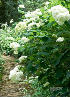 aftonbladet_hh-20130810_000_00_00_045.pdf