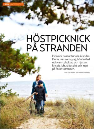 aftonbladet_hh-20130921_000_00_00_080.pdf