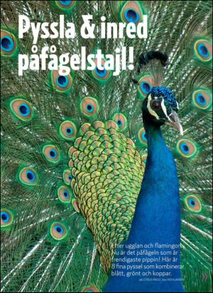 aftonbladet_hh-20131102_000_00_00_071.pdf