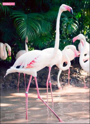 aftonbladet_hh-20140222_000_00_00_020.pdf