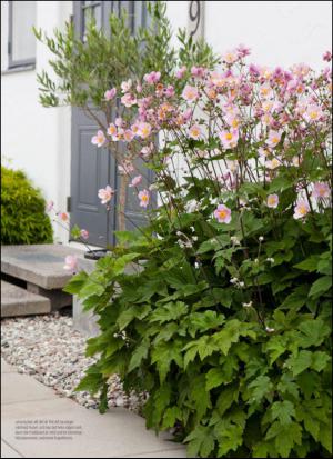 aftonbladet_hh-20140503_000_00_00_021.pdf