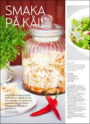 aftonbladet_hh-20140802_000_00_00_060.pdf