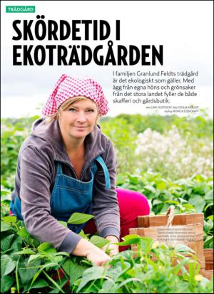 aftonbladet_hh-20140830_000_00_00_042.pdf