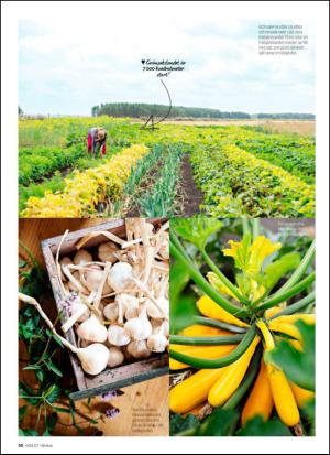 aftonbladet_hh-20140830_000_00_00_050.pdf