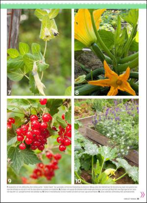 aftonbladet_hh-20150403_000_00_00_033.pdf