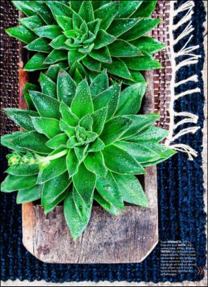 aftonbladet_hh-20150425_000_00_00_015.pdf